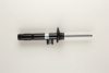 BILSTEIN 22-217981 Shock Absorber